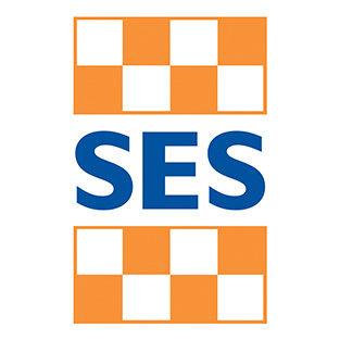 VICSES case study logo